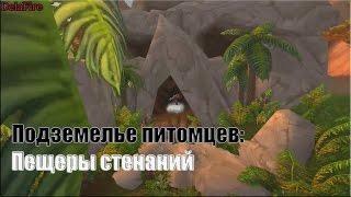 World of warcraft: Legion - Пещеры стенаний (Подземелье питомцев)