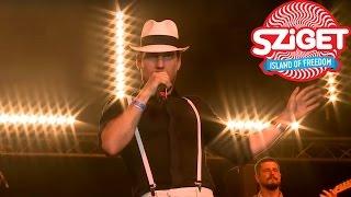 PASO Live @ Sziget 2015