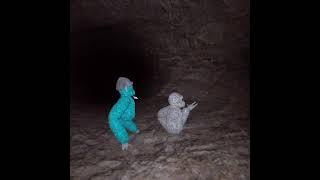 NO ESCAPE From CAVE MONSTERS Scary Baboon #vr #oculus #meta #gorillatag #vrgaming #bethemonster