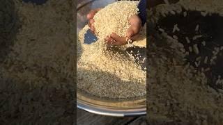 Rice slomo video #shortvideo #funny #veloog #cute #velog TikTok video for your