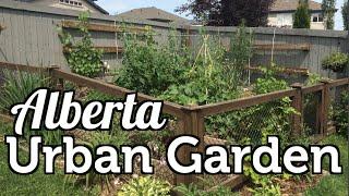 Alberta Urban Garden Simple, Organic and Sustainable Channel Introduction July 2015