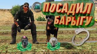 Посадил барыгу! Смешной гайд по работе в К-9 на проекте Majestic в GTA 5 RP