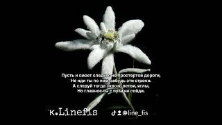 Больше стихотворений в моем тгк.Linefis #поэзия #стихи
