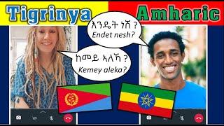 Learning Tigrinya and Amharic #ትግርኛ #አማርኛ #amharic #tigrigna #tigrinya #ethiopia #eritrea #habesha