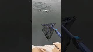 Grab That Fishing ROD!!!