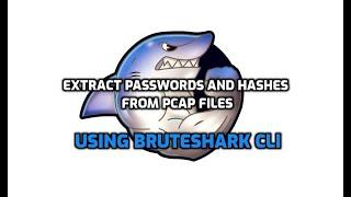 BruteSharkCli Usage Example - Extract Multiple Passwords and Hashes Including Kerberos and NTLM