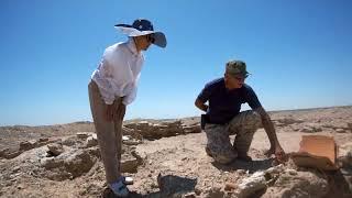 Aral Sea Discovery