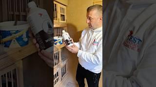 Pigeons love Moor Active! Natural peat charcoal boosts digestion & firms droppings 