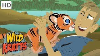 Wild Kratts - The Wildlife Heroes Saving One Animal at a Time