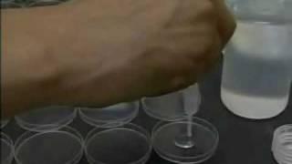 mensajes del agua parte 1