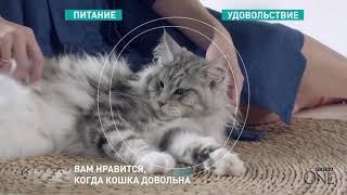 Реклама Purina ONE  " Кормите правильно "