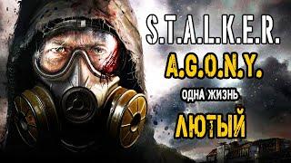 ХАРДКОР В A.G.O.N.Y. Жизнь ЛЮТОГО. S.T.A.L.K.E.R.