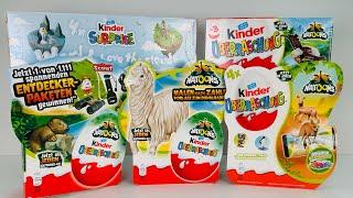 Распаковка старых Киндеров Натунс. Old Kinder Surprise Natoons Unboxing