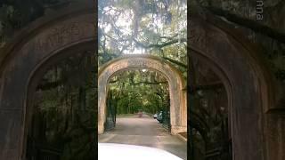 Most beautiful places in Georgia  #travel #adventure #explore #nature #georgia #usa