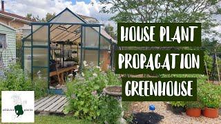 GREENHOUSE TOUR//Propagation setup//NZ