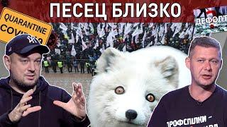 Бунт! Карантин! Дефолт! ЧАПЛЫГА - ЛЯМЕЦ - ГЕРАСИМОВИЧ