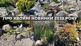 Про хвойні новинки 2023 року