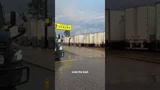 Just A Typical Day Of Trucking 06/17/2025 #dailyvlog #dog #fredthetruckerdog #trucker #trucking #otr