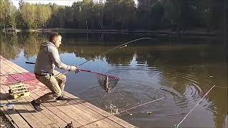 Утренний обзор с нижнего водоёма. Клёвое место, Лосиный остров.