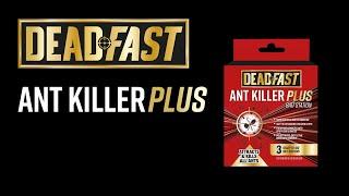 How to use the Deadfast Ant Killer Plus Bait Station