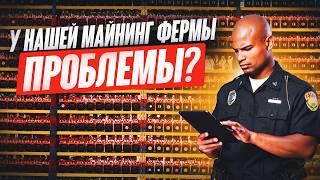 ФЕРМА на 35 МАЙНЕРОВ | БАЛКОННЫЙ МАЙНЕР 3 СЕРИЯ | РЕАЛЬНАЯ ДОХОДНОСТЬ МАЙНЕРОВ 2024