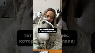 Мой тгк, где можно приобрести хх: Хоббихорсы ANNA_HORSY #horse #лошади #рекомендации #memes #юмор