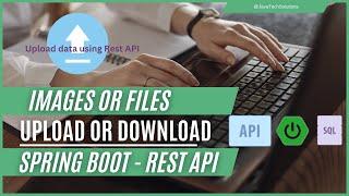 How To Upload and Download Files into Database with Spring Boot 3 in Java