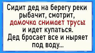 Как дедуля под водой даме того! Сборник свежих анекдотов! Юмор!