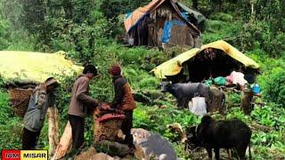 Most  Beautiful And Relaxing mountain village Life of Nepal || iam misar Best Compilation vide