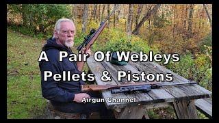 A Pair Of Webley Air Rifles