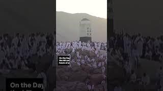 Pilgrims gather on Mount Arafat for holiest day of Hajj