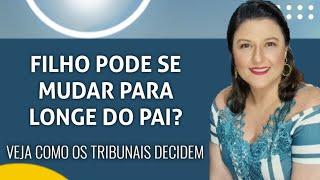 MÃE QUE LEVA FILHO PARA OUTRO ESTADO PODE PERDER A GUARDA? O QUE DIZ A LEI E COMO A JUSTIÇA DECIDE?