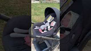 Uppababy Stroller is Perfect For Reborn Baby & Toddler Dolls!