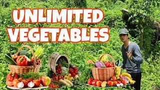 UNLIMITED VEGETABLES SA BUKID PHILIPPINES | LOY IMAM