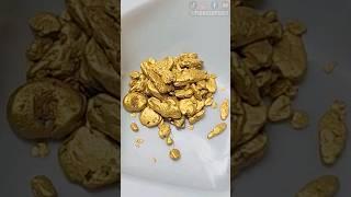 Diver Finds $500 Of Gold Nuggets In Bedrock Crack!