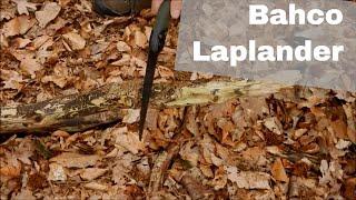 Bahco Laplander - Bushcraft Säge für wenig Geld #BudgetBushcraft