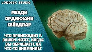 [ТЭД] Мехди Ордикхани - Что происходит в вашем мозге, когда вы обращаете на что-то внимание? (2017)