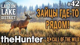 theHunter call of the wild #42  - Зайцы Где-то Рядом! - Арбалет, Винтовка - Олень, Лось