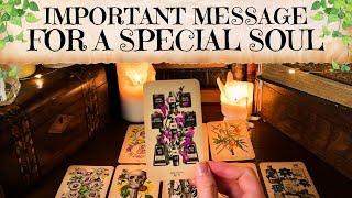 An Important Message for a Special Soul   Tarot Reading