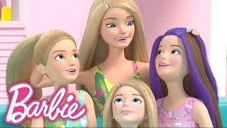 Barbie & Barbie Double the Fun | Full Episodes | Ep. 1-4