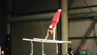 Alexander Artemev - Parallel Bars - 2011 Winter Cup Challenge Day 1