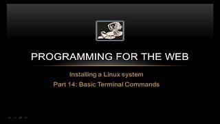 Basic Terminal Commands - Programming for the Web