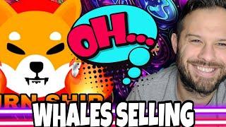 Shiba Inu Coin | SHIB Whales Are Selling Causing Major Declines! Will They Stop?!