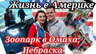 Лучший зоопарк в Америке/Небраска, Омаха/Выходные американцев