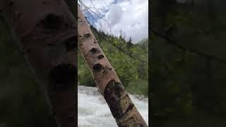 Ала Арчинский ущелье