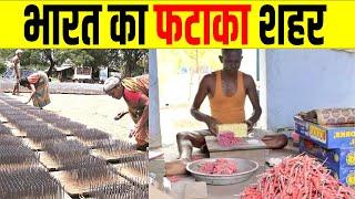 Sivakasi कैसे बना भारत का सबसे बड़ा फटका हब | How Sivakasi Become Crackers Hub In India | Facts