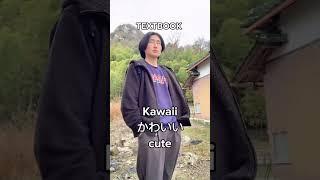 This is the real kawaii Japanese people say