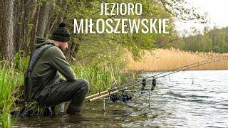 WIELKA PRZEGRANA NA ZAWODACH KARPIOWYCH / JEZIORO MIŁOSZEWSKIE