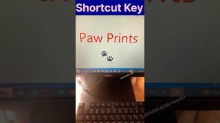  Paw Prints shortcut key #shorts #computer #msword