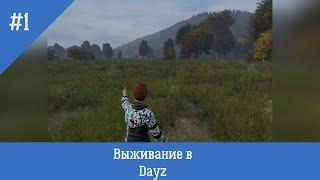 DayZ Standalone выживание с нуля(Выживание №1)